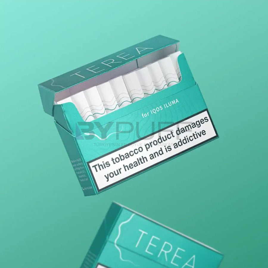 ILUMA TEREA - Turkuaz